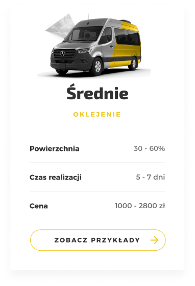 Dostawcze Duze2