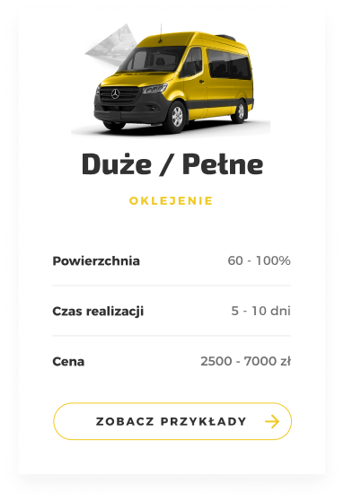 Dostawcze Duze3